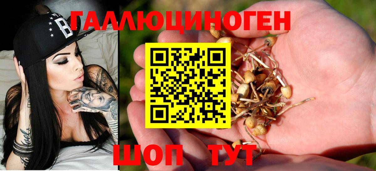 Урус-Мартан  даркнет сайт  Вход с VPN  Псилоцибиновые грибы Cubensis 