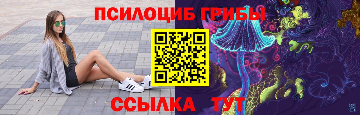 Галлюциногенные грибы Psilocybe Урус-Мартан